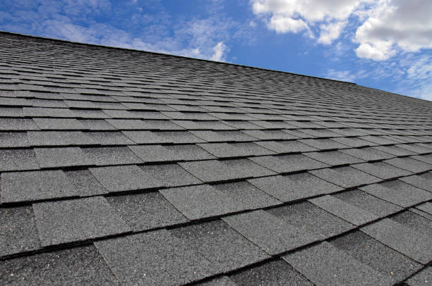 Professional Roofing Services in Murrysville, PA